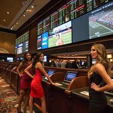 my99 Live Casino